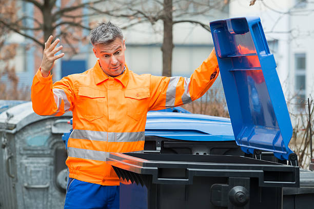 Best Same-Day Junk Removal Services  in Ladd, IL